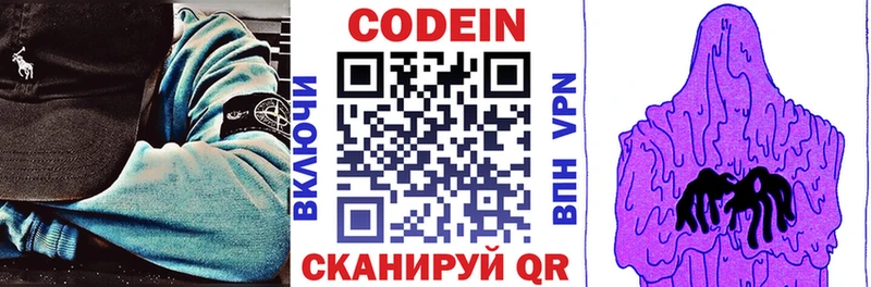 купить наркотики сайты  гидра как войти  Кодеин напиток Lean (лин)  Николаевск 