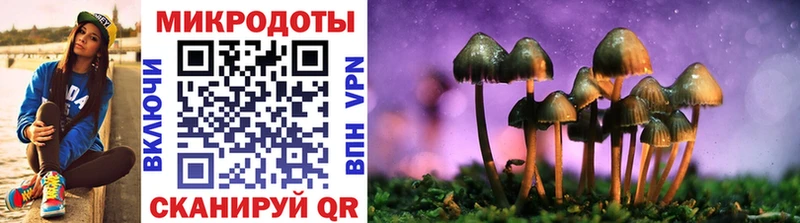 Псилоцибиновые грибы MAGIC MUSHROOMS наркота Николаевск